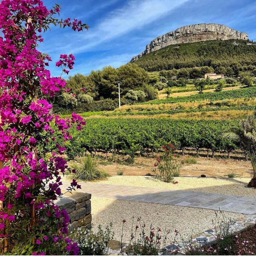 Cote Vignes Cassis